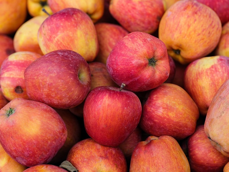 Organic Selection
